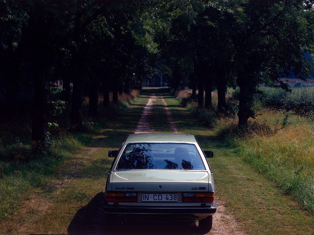Image 8