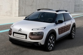 C4 Cactus 2014 - 2018