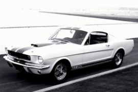 Mustang GT 350 Shelby 1965 - 1966